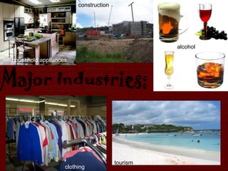 construction




                                                 alcohol

household appliances




                                       tourism
                   clothing
 