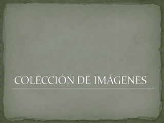  Los dioses eran inmortales pero con aspecto humano.