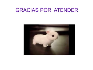 GRACIAS POR ATENDER
 
