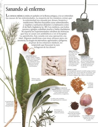 Sanando al enfermo
La ciencia médica estaba en pañales en la Roma antigua, y no se entendían
las causas de las enfermedades. La mayoría de los romanos creían que
la enfermedad era causada por dioses, brujería y
maldiciones. Muchos buscaban curas sobrenaturales,
y viajaban a santuarios distantes o a balnearios como
el de Bath, Inglaterra (p. 38). Los médicos, casi todos
varones y griegos, cobraban mucho y había charlatanes.
Ni siquiera los experimentados salvaban de dolencias
que hoy se curan con antibióticos o en el hospital.
La apendicitis, hoy curada con una operación, era
fatal. Algunas medicinas eran muy eficaces pero sin
anestesia, la cirugía era aterradora, agonizante y peligrosa.
¡A pesar de los esfuerzos médicos, no
sorprende que buscaran la cura
milagrosa de los dioses!
ANILLOS DE SELLO
En éstos (arriba), Asclepio
(página opuesta) e Hygeia,
una figura angélica
que simboliza la salud.
Quizá servían para
protegerse de las
enfermedades.
Se pensaba que
el hinojo tenía
propiedades
tranqui­lizantes
Helenio, usado
para la digestión
La salvia, muy sanadora,
era sagrada para los romanos
54
PIERNA DEVOTA
Esta pierna de bronce
(arriba) fue dedicada
por un hombre llamado
Caledus, probablemente
en agradecimiento por
la cura de una lesión
o infección.
MÉDICO Y NIÑO
En esta lápida de mármol, un médico griego examina
a un niño (izda.). En el suelo hay un enorme «vaso
medicinal» para extraer sangre y, supuestamente,
el «humor maligno» que causó la enfermedad.
La alholva
se usaba
contra la
pulmonía
HIERBAS CURATIVAS
Muchas plantas se conocían por
sus propiedades medicinales
y eran usadas para hacer
medicamentos y ungüentos.
El romero era
muy usado en la
medicina romana
El escritor romano
Plinio listó 40 remedios
con mostaza como
principal ingrediente Los soldados romanos
tomaban una ración
diaria de ajo para
la salud
OREJA DEVOTA
Al visitar un templo
para pedir una
cura al dios,
las personas a
menudo dejaban
ofrendas de la parte
afligida (aquí, una
oreja derecha) para
recordarle al dios
la cura pedida.
 