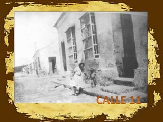 CALLE 11