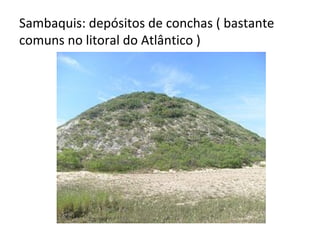 Sambaquis: depósitos de conchas ( bastante
comuns no litoral do Atlântico )
 