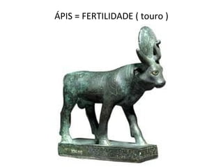 ÁPIS = FERTILIDADE ( touro )
 