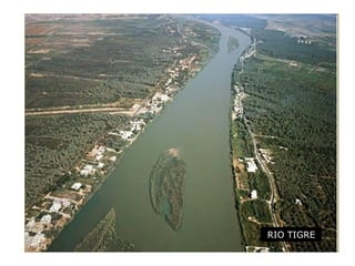 RIO TIGRE
 