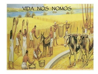 VIDA NOS NOMOS
 
