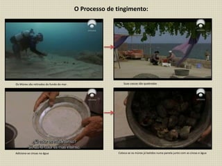O Processo de tingimento:
Os Múrex são retirados do fundo do mar. Suas cascas são quebradas
Adiciona-se cinzas na água Coloca-se os múrex já batidos numa panela junto com as cinzas e água
 