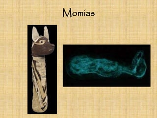 Momias
 