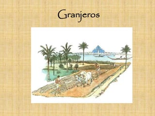 Granjeros
 
