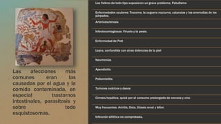 Las afecciones más 
comunes eran las 
causadas por el agua y la 
comida contaminada, en 
especial trastornos 
intestinales, parasitosis y 
sobre todo 
esquistosomas. 
Las fiebres de todo tipo supusieron un grave problema, Paludismo 
Enfermedades oculares: Tracoma, la ceguera nocturna, cataratas y las anomalías de los 
párpados. 
Arterioesclerosis 
Infectocontagiosas: Viruela y la peste. 
Enfermedad de Pott 
Lepra, confundida con otras dolencias de la piel 
Neumonías 
Apendicitis 
Poliomielitis 
Tumores ováricos y óseos 
Cirrosis hepática, quizá por el consumo prolongado de cerveza y vino 
Muy frecuentes: Artritis, Gota, litiasis renal y biliar. 
Infección sifilítica no comprobada. 
 