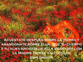 Acuéstate después sobre la tierra y
abandónate sobre ella. Que tu cuerpo
y tu alma nacidos de ella sean uno con
      la Madre Tierra y su oculto
              esplendor.
 