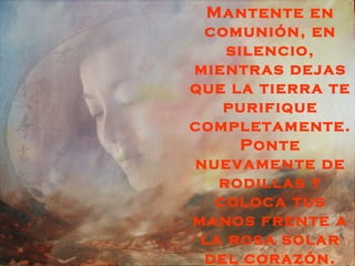 Mantente en
 comunión, en
    silencio,
mientras dejas
que la tierra te
    purifique
completamente.
      Ponte
nuevamente de
   rodillas y
   coloca tus
manos frente a
 la rosa solar
 del corazón.
 