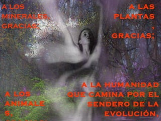 a los                   a las
minerales,           plantas
gracias;                     ,
                     gracias;




               a la humanidad
a los        que camina por el
animale          sendero de la
s,                  evolución,
 