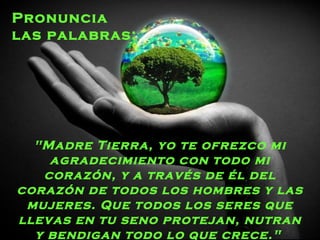 Pronuncia
las palabras:




  "Madre Tierra, yo te ofrezco mi
    agradecimiento con todo mi
   corazón, y a través de él del
corazón de todos los hombres y las
 mujeres. Que todos los seres que
llevas en tu seno protejan, nutran
  y bendigan todo lo que crece."
 