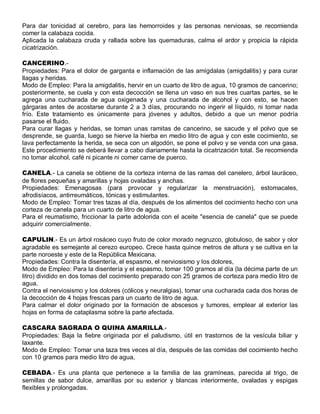 Para dar tonicidad al cerebro, para las hemorroides y las personas nerviosas, se recomienda
comer la calabaza cocida.
Aplicada la calabaza cruda y rallada sobre las quemaduras, calma el ardor y propicia la rápida
cicatrización.

CANCERINO.-
Propiedades: Para el dolor de garganta e inflamación de las amígdalas (amigdalitis) y para curar
llagas y heridas.
Modo de Empleo: Para la amigdalitis, hervir en un cuarto de litro de agua, 10 gramos de cancerino;
posteriormente, se cuela y con esta decocción se llena un vaso en sus tres cuartas partes, se le
agrega una cucharada de agua oxigenada y una cucharada de alcohol y con esto, se hacen
gárgaras antes de acostarse durante 2 a 3 días, procurando no ingerir el líquido, ni tomar nada
frío. Este tratamiento es únicamente para jóvenes y adultos, debido a que un menor podría
pasarse el fluido.
Para curar llagas y heridas, se toman unas ramitas de cancerino, se sacude y el polvo que se
desprende, se guarda, luego se hierve la hierba en medio litro de agua y con este cocimiento, se
lava perfectamente la herida, se seca con un algodón, se pone el polvo y se venda con una gasa.
Este procedimiento se deberá llevar a cabo diariamente hasta la cicatrización total. Se recomienda
no tomar alcohol, café ni picante ni comer carne de puerco.

CANELA.- La canela se obtiene de la corteza interna de las ramas del canelero, árbol lauráceo,
de flores pequeñas y amarillas y hojas ovaladas y anchas.
Propiedades: Emenagosas (para provocar y regularizar la menstruación), estomacales,
afrodisíacos, antirreumáticos, tónicas y estimulantes.
Modo de Empleo: Tomar tres tazas al día, después de los alimentos del cocimiento hecho con una
corteza de canela para un cuarto de litro de agua.
Para el reumatismo, friccionar la parte adolorida con el aceite "esencia de canela" que se puede
adquirir comercialmente.

CAPULIN.- Es un árbol rosáceo cuyo fruto de color morado negruzco, globuloso, de sabor y olor
agradable es semejante al cerezo europeo. Crece hasta quince metros de altura y se cultiva en la
parte noroeste y este de la República Mexicana.
Propiedades: Contra la disentería, el espasmo, el nerviosismo y los dolores,
Modo de Empleo: Para la disentería y el espasmo, tomar 100 gramos al día (la décima parte de un
litro) dividido en dos tomas del cocimiento preparado con 25 gramos de corteza para medio litro de
agua.
Contra el nerviosismo y los dolores (cólicos y neuralgias), tomar una cucharada cada dos horas de
la decocción de 4 hojas frescas para un cuarto de litro de agua.
Para calmar el dolor originado por la formación de abscesos y tumores, emplear al exterior las
hojas en forma de cataplasma sobre la parte afectada.

CASCARA SAGRADA O QUINA AMARILLA.-
Propiedades: Baja la fiebre originada por el paludismo, útil en trastornos de la vesícula biliar y
laxante.
Modo de Empleo: Tomar una taza tres veces al día, después de las comidas del cocimiento hecho
con 10 gramos para medio litro de agua,

CEBADA.- Es una planta que pertenece a la familia de las gramíneas, parecida al trigo, de
semillas de sabor dulce, amarillas por su exterior y blancas interiormente, ovaladas y espigas
flexibles y prolongadas.
 