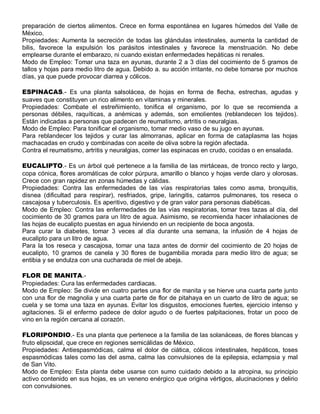preparación de ciertos alimentos. Crece en forma espontánea en lugares húmedos del Valle de
México.
Propiedades: Aumenta la secreción de todas las glándulas intestinales, aumenta la cantidad de
bilis, favorece la expulsión los parásitos intestinales y favorece la menstruación. No debe
emplearse durante el embarazo, ni cuando existan enfermedades hepáticas ni renales.
Modo de Empleo: Tomar una taza en ayunas, durante 2 a 3 días del cocimiento de 5 gramos de
tallos y hojas para medio litro de agua. Debido a. su acción irritante, no debe tomarse por muchos
días, ya que puede provocar diarrea y cólicos.

ESPINACAS.- Es una planta salsolácea, de hojas en forma de flecha, estrechas, agudas y
suaves que constituyen un rico alimento en vitaminas y minerales.
Propiedades: Combate el estreñimiento, tonifica el organismo, por lo que se recomienda a
personas débiles, raquíticas, a anémicas y además, son emolientes (reblandecen los tejidos).
Están indicadas a personas que padecen de reumatismo, artritis o neuralgias.
Modo de Empleo: Para tonificar el organismo, tomar medio vaso de su jugo en ayunas.
Para reblandecer los tejidos y curar las almorranas, aplicar en forma de cataplasma las hojas
machacadas en crudo y combinadas con aceite de oliva sobre la región afectada.
Contra el reumatismo, artritis y neuralgias, comer las espinacas en crudo, cocidas o en ensalada.

EUCALIPTO.- Es un árbol qué pertenece a la familia de las mirtáceas, de tronco recto y largo,
copa cónica, flores aromáticas de color púrpura, amarillo o blanco y hojas verde claro y olorosas.
Crece con gran rapidez en zonas húmedas y cálidas.
Propiedades: Contra las enfermedades de las vías respiratorias tales como asma, bronquitis,
disnea (dificultad para respirar), resfriados, gripe, laringitis, catarros pulmonares, tos reseca o
cascajosa y tuberculosis. Es aperitivo, digestivo y de gran valor para personas diabéticas.
Modo de Empleo: Contra las enfermedades de las vías respiratorias, tomar tres tazas al día, del
cocimiento de 30 gramos para un litro de agua. Asimismo, se recomienda hacer inhalaciones de
las hojas de eucalipto puestas en agua hirviendo en un recipiente de boca angosta.
Para curar la diabetes, tomar 3 veces al día durante una semana, la infusión de 4 hojas de
eucalipto para un litro de agua.
Para la tos reseca y cascajosa, tomar una taza antes de dormir del cocimiento de 20 hojas de
eucalipto, 10 gramos de canela y 30 flores de bugambilia morada para medio litro de agua; se
entibia y se endulza con una cucharada de miel de abeja.

FLOR DE MANITA.-
Propiedades: Cura las enfermedades cardiacas.
Modo de Empleo: Se divide en cuatro partes una flor de manita y se hierve una cuarta parte junto
con una flor de magnolia y una cuarta parte de flor de pitahaya en un cuarto de litro de agua; se
cuela y se toma una taza en ayunas. Evitar los disgustos, emociones fuertes, ejercicio intenso y
agitaciones. Si el enfermo padece de dolor agudo o de fuertes palpitaciones, frotar un poco de
vino en la región cercana al corazón.

FLORIPONDIO.- Es una planta que pertenece a la familia de las solanáceas, de flores blancas y
fruto elipsoidal, que crece en regiones semicálidas de México.
Propiedades: Antiespasmódicas, calma el dolor de ciática, cólicos intestinales, hepáticos, toses
espasmódicas tales como las del asma, calma las convulsiones de la epilepsia, eclampsia y mal
de San Vito.
Modo de Empleo: Esta planta debe usarse con sumo cuidado debido a la atropina, su principio
activo contenido en sus hojas, es un veneno enérgico que origina vértigos, alucinaciones y delirio
con convulsiones.
 