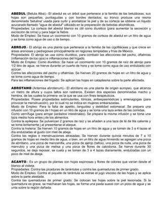 ABEDUL (Betula Alba).- El abedul es un árbol que pertenece a la familia de las betuláceas; sus
hojas son pequeñas, puntiagudas y con bordes dentados; su tronco produce una resina
denominada 'betulina' usada para curtir y aromatizar la piel y de su corteza se obtiene un líquido
azucarado llamado "agua de abedul" utilizado en la preparación de bebidas alcohólicas.
Propiedades: La corteza del abedul blanco es útil como diurético (para aumentar la secreción y
excreción de orina) y para bajar la fiebre.
Modo de Empleo: Se hace un cocimiento con 10 gramos de corteza de abedul en un litro de agua
y se toma como agua de uso o de tiempo.

ABROJO.- El abrojo es una planta que pertenece a la familia de las cigofiláceas y que crece en
áreas arenosas y pedregosas principalmente en regiones templadas y frías de México.
Propiedades: El abrojo se usa como diurético, para combatir las afecciones del pecho, oftalmías
(inflamación de los ojos) e inflamaciones del hígado.
Modo de Empleo: Como diurético: Se hace un cocimiento con 10 gramos de raíz de abrojo para
1/2 litro de agua; se hierve durante un cuarto de hora y se toma como agua de uso endulzado con
azúcar.
Contra las afecciones del pecho y oftalmías: Se hierven 20 gramos de hojas en un litro de agua y
se toma como agua de tiempo.
Para las inflamaciones del hígado: Se aplican las hojas en cataplasma sobre la parte afectada.

ABROTANO (Artemisa abrotanum).- El abrótano es una planta de origen europeo, que alcanza
un metro de altura y cuyos tallos son rastreros. Existen dos especies denominadas macho y
hembra, de las cuales la primera- es la que se usa con fines terapéuticos.
Propiedades: Posee propiedades estimulantes, tónicas, antiespasmódicas y emenagogas (para
provocar la menstruación), por lo cual no se indica en mujeres embarazadas.
Modo de Empleo: Para la falta de apetito, languidez y debilidad estomacal. Se prepara una
infusión con 10 gramos de t hojas en un litro de agua y se toma una taza antes de las comidas.
Como vernífuga (para arrojar parásitos intestinales). Se prepara la misma infusión y se toma una
taza media hora antes j de los alimentos.
Contra la epilepsia: Se pulverizan 2 gramos de raíz y se añaden a una taza de té de tila caliente y
se toma lentamente j al presentarse el ataque.
Contra la histeria: Se hierven 10 gramos de hojas en un litro de agua y se toman de 3 a 4 tazas al
día endulzadas al gusto con miel de abeja.
Contra las reglas o menstruaciones atrasadas: Se hierven durante quince minutos de 7 a 10
gramos de hojas en medio litro de agua, o bien, en un litro de agua hirviendo se agregan una pizca
de abrótano, una pizca de manzanilla, una pizca de ajenjo (tallos), una pizca de ruda, una pizca de
manrubio y una pizca de melisa y una pizca de flores de calcidonia. Se hierve durante 30
segundos, se deja reposar, se cuela y se toman de 3 a 4 tazas diariamente, endulzadas con un
poco de miel de abeja.

ACANTO.- Es un grupo de plantas con hojas espinosas y flores de colores que varían desde el
blanco al violeta.
Propiedades: Contra las picaduras de tarántulas y contra las quemaduras de primer grado.
Modo de Empleo: Contra el piquete de tarántula se extrae el jugo viscoso de las hojas y se aplica
sobre la parte atestada.
Contra las quemaduras de primer grado: Se colocan las hojas sobre la piel lesionada. Si la
quemadura es grave, se machacan las hojas, se forma una pasta suave con un poco de agua y se
unta sobre la región dañada.
 