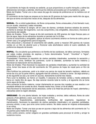 El cocimiento de hojas de naranjo es sedante, ya que proporciona un sueño tranquilo y calma las
alteraciones nerviosas y además, disminuye los dolores provocados por el reumatismo y gota.
Modo de Empleo: Tomar uno o dos vasos de jugo de naranja de preferencia en la mañana con el
desayuno.
El cocimiento de las hojas se prepara en la dosis de 25 gramos de hojas para medio litro de agua,
del que se toma una taza tres veces al día, después de los alimentos.

NOGAL.- Es un árbol juglandáceo, de flores compuestas, flores unisexuales y fruto llamado nuez,
rico en aceite, vitaminas y sales minerales.
Propiedades: Purifican la sangre, útil en caso de diarrea, combate diversos estados de anemia,
aumenta la energía del organismo, cura las conjuntivitis y las amigdalitis, obscurece y favorece el
crecimiento del cabello.
Modo de Empleo. Tomar 3 tazas al día del cocimiento de 200 gramos de hojas frescas para un
litro de agua, lejos de los alimentos durante un período de 5 a 6 días.
Contra la conjuntivitis y amigdalitis, aplicar el mismo cocimiento anterior en forma de colirio para el
primer caso y en gargarismos para el segundo.
Para obscurecer y favorecer el crecimiento del cabello, poner a macerar 200 gramos de nueces
verdes en un litro de alcohol puro y friccionar este alcoholaturo sobre el cuero cabelludo, de
preferencia después de lavado.

NOPAL.- Es una planta que pertenece a la familia de las cactáceas, de tallos carnosos, formados
por palas ovales provistas de espinas y frutos denominados "tunas", "chumbos" o 'higos",
comestibles y de sabor dulce.
Propiedades: Favorecen la expulsión de ciertos parásitos intestinales, aumentan la secreción y
excreción de orina, fortifican los pulmones, curan la diabetes, aumentan la leche materna y
favorecen la maduración de los abscesos.
Modo de Empleo: Para favorecer la expulsión de parásitos intestinales y aumentar la cantidad de
orina, tomar tres tazas al día del cocimiento de 100 gramos de hojas de nopal para un litro de
agua.
Para fortificar los pulmones, partir a la mitad una penca de nopal de tamaño mediano, rallarla en
forma de cruz por la parte interna, agregarle miel de colmena y volverla a cerrar. Se deja serenar y
al día siguiente se asa y se come en ayunas, diariamente durante tres meses.
Para curar la diabetes, se hierve un nopalito, 5 cáscaras de tomates verdes y media calabacita
tierna en medio litro de agua. Se deja serenar durante toda la noche y al siguiente día se toma
como agua de tiempo.
Para aumentar la leche materna, comer diariamente en ayunas dos nopales ya sea asados o en
ensalada aliñada con aceite de oliva. Pasada media hora, tomar un té de alfalfa.
Para favorecer la maduración de los abscesos, cortar a la mitad las pencas de nopal, calentarlas y
colocarlas sobre la región afectada.

OREGANO.- Es una planta labiada, de hojas ovaladas y anchas, tallos vellosos, flores de color
púrpura y fruto globoso y seco, que crece en todo el País.
Propiedades: Expectorantes, estomacales, tonificantes del organismo, regularizan la
menstruación, favorecen la expulsión de ciertos parásitos intestinales y en grandes cantidades,
provoca vómito, o sea, que sirve como contra veneno. No debe usarse en mujeres embarazadas
ni en niños.
Modo de Empleo: Tomar una taza ya sea en ayunas o lejos de los alimentos del cocimiento de 7 a
10 gramos para medio litro de agua.
Como contra veneno, comer orégano en grandes cantidades para provocar el vómito y arrojar la
sustancia nociva.
 
