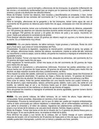 agotamiento muscular, cura la laringitis y afecciones de los bronquios, la gingivitis (inflamación de
las encías y el escorbuto (enfermedad que se origina por la carencia de vitamina C), combate la
anemia y ayuda a la disolución de cálculos biliares.
Modo de Empleo: Comer los rábanos, bien lavados y desinfectados en ensalada, o bien, tomar
una taza después de las comidas del cocimiento de 7 a 15 gramos de raíz para medio litro de
agua.
Para la laringitis, afecciones de la garganta y de los bronquios, tomar como agua de uso el
cocimiento de 50 gramos do rábanos para medio litro de agua, endulzada con miel de colmena al
gusto.
Para combatir la anemia, tomar una cucharada tres veces el día de jarabe de rábanos, preparado
con 150 gramos de rábanos con cáscara hervidos durante veinte minutos en litro y medio de agua;
se le agregan 750 gramos de azúcar y 22 gotas de tintura de yodo y se cuece, moviendo sin
cesar, hasta que adquiera la consistencia de jarabe.
Para disolver cálculos biliares, comer 20 gramos de rábano negro en ayunas y la misma dosis en
la noche. Es un tratamiento muy eficaz.

ROMERO.- Es una planta labiada, de tallos ramosos, hojas gruesas y lustrosas, flores de color
azul y fruto seco, que crece en iones templadas del País.
Propiedades: Favorece la digestión, regulariza la menstruación, combate el asma, las gripes, el
tifo, vértigos, afecciones liosas, dolores de cabeza, reumatismo, impide la caída del ello, estimula
su crecimiento y evita la caspa, cura la ciática, ahuyenta los insectos e impregna el ambiente de su
agradable aroma.
Modo de Empleo: Tomar una taza tres veces al día, después los alimentos, del cocimiento de 5 a
10 gramos de hojas medio litro de agua.
Para regularizar la menstruación, tomar tres tazas al día del cocimiento de 50 gramos de hojas
para medio litro de agua.
Para combatir el reumatismo y articulaciones dolorosas, friccionar las partes adoloridas con la
tintura hecha con 20 gramos de hojas secas, 20 gramos de alhucema (flores) para medio litro de
alcohol; se deja macerar durante dos días y posteriormente, se filtra.
Para impedir la caída del cabello, estimular su crecimiento y evitar la caspa, darse dos fricciones al
día con el siguiente alcoholato: 10 gramos de hojas y flores de romero, 10 gramos de brotano
macho y medio litro de alcohol. Se mezcla muy bien, se macera durante una semana y se filtra.
Para curar la ciática, frotar las partes adoloridas con una mezcla hecha con cuatro romeros, un
litro de alcohol y ajos machacados, tabaco, pimienta gorda, beleño, ruda y pirú. Se vierte en una
botella, se calienta bajo el sol y se fricciona hasta que el dolor desaparezca. Completar el
tratamiento mascando en las mañanas un diente de ajo tirando el bagazo.
Para ahuyentar los insectos e impregnar el ambiente de aroma agradable, quemar romero dentro
de las habitaciones.

RUDA.- Es una planta rutácea, de tallos ramosos, de un metro de altura, hojas alternas y
compuestas, flores amarillas, dispuestas en racimos y fruto capsular.
Propiedades. Provoca la menstruación, por lo que no debe ser usada por mujeres embarazadas,
calma el dolor provocado por cólicos hepáticos o intestinales, útil en enfermedades nerviosas, ya
que calma la ansiedad y el dolor de cabeza, regulariza las palpitaciones cardiacas, elimina los
piojos y sus larvas de la cabeza y se usa para lavar úlceras, heridas, llagas y granos.
Modo de Empleo: Tomar dos tazas al día de la infusión de 3 a 5 gramos de planta fresca para un
litro de agua. Si se usa la planta seca, se emplea la mitad de la dosis.
Para eliminar los piojos y sus larvas de la cabeza, dar un fuerte masaje al cuero cabelludo
después de lavado, con el cocimiento de 35 gramos de hojas para un litro de agua. Una vez que el
cabello queda bien impregnado, cubrirlo con un lienzo y pasada una hora, peinarlo.
 