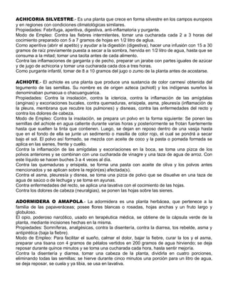 ACHICORIA SILVESTRE.- Es una planta que crece en forma silvestre en los campos europeos
y en regiones con condiciones climatológicas similares.
Propiedades: Febrífuga, aperitiva, digestiva, anti-inflamatoria y purgante.
Modo de Empleo: Contra las fiebres intermitentes, tomar una cucharada cada 2 a 3 horas del
cocimiento preparado con 5 a 7 gramos de hojas en 1/2 litro de aglua.
Como aperitiva (abrir el apetito) y ayudar a la digestión (digestiva), hacer una infusión con 15 a 30
gramos de raíz previamente puesta a secar a la sombra, hervida en 1/2 litro de agua, hasta que se
consuma a la mitad; tomar una tacita antes de cada alimento.
Contra las inflamaciones de garganta y de pecho, preparar un jarabe con partes iguales de azúcar
y de jugo de achicoria y tomar una cucharada cada dos a tres horas.
Como purgante infantil, tomar de 8 a 10 gramos del jugo o zumo de la planta antes de acostarse.

ACHIOTE.- El achiote es una planta que produce una sustancia de color carmesí obtenida del
tegumento de las semillas. Su nombre es de origen azteca (achiotl) y los indígenas sureños la
denominaban pumacua o chacuanguarica.
Propiedades: Contra la insolación, contra la ictericia, contra la inflamación de las amígdalas
(anginas) y excoriaciones bucales, contra quemaduras, erisipela, asma, pleuresía (inflamación de
la pleura, membrana que recubre los pulmones) y disneas, contra las enfermedades del recto y
contra los dolores de cabeza.
Modo de Empleo: Contra la insolación, se prepara un polvo en la forma siguiente: Se ponen las
semillas del achiote en agua caliente durante varias horas y posteriormente se frotan fuertemente
hasta que suelten la tinta que contienen. Luego, se dejan en reposo dentro de una vasija hasta
que en el fondo de ella se junte un sedimento o masilla de color rojo, el cual se pondrá a secar
bajo el sol. El polvo así formado, se mezcla con aceite de coco y la pasta o pomada formada se
aplica en las sienes, frente y cuello.
Contra la inflamación de las amígdalas y excoriaciones en la boca, se toma una pizca de los
polvos anteriores y se combinan con una cucharada de vinagre y una taza de agua de arroz. Con
este líquido se hacen buches 3 a 4 veces al día.
Contra las quemaduras y erisipela, se forma una pasta con aceite de oliva y los polvos antes
mencionados y se aplican sobre la región(es) afectada(s).
Contra el asma, pleuresía y disnea, se toma una pizca de polvo que se disuelve en una taza de
agua de saúco o de lechuga y se toma en ayunas.
Contra enfermedades del recto, se aplica una lavativa con el cocimiento de las hojas.
Contra los dolores de cabeza (neuralgias), se ponen las hojas sobre las sienes.

ADORMIDERA O AMAPOLA.- La adormidera es una planta herbácea, que pertenece a la
familia de las papaveráceas; posee flores blancas o rosadas, hojas anchas y un fruto largo y
globuloso.
El opio, poderoso narcótico, usado en terapéutica médica, se obtiene de la cápsula verde de la
planta, mediante incisiones hechas en la misma.
Propiedades: Somníferas, analgésicas, contra la disentería, contra la diarrea, tos rebelde, asma y
antipirética (baja la fiebre).
Modo de Empleo: Para facilitar el sueño, calmar el dolor, bajar la fiebre, curar la tos y el asma,
preparar una tisana con 4 gramos de pétalos vertidos en 200 gramos de agua hirviendo; se deja
reposar durante quince minutos y se toma una cucharada cada hora, hasta sentir mejoría.
Contra la disentería y diarrea, tomar una cabeza de la planta, dividirla en cuatro porciones,
eliminando todas las semillas; se hierve durante cinco minutos una porción para un litro de agua,
se deja reposar, se cuela y ya tibia, se usa en lavativa.
 