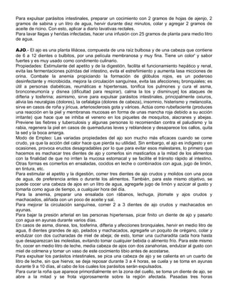 Para expulsar parásitos intestinales, preparar un cocimiento con 2 gramos de hojas de ajenjo, 2
gramos de sabina y un litro de agua, hervir durante diez minutos, colar y agregar 2 gramos de
aceite de ricino. Con esto, aplicar a diario lavativas rectales.
Para lavar llagas y heridas infectadas, hacer una infusión con 25 gramos de planta para medio litro
de agua.

AJO.- El ajo es una planta liliácea, compuesta de una raíz bulbosa y de una cabeza que contiene
de 6 a 12 dientes o bulbitos, por una película membranosa y muy fina. Tiene un color' y sabor
fuertes y es muy usado como condimento culinario.
Propiedades: Estimulante del apetito y de la digestión, facilita el funcionamiento hepático y renal,
evita las fermentaciones pútridas del intestino, evita el estreñimiento y aumenta lasa micciones de
orina. Combate la anemia propiciando la formación de glóbulos rojos, es un poderoso
desinfectante y microbicida, mejora la circulación sanguínea, evita las afecciones¡ bronquiales; es
útil a personas diabéticas, reumáticas e hipertensas, tonifica los pulmones y cura el asma,
bronconeumonía y disnea (dificultad para respirar), calma la tos y disminuye] los ataques de
difteria y tosferina; asimismo, sirve para expulsar parásitos intestinales, principalmente oxiuros,
alivia las neuralgias (dolores), la cefalalgia (dolores de cabeza), insomnio, histerismo y melancolía,
sirve en casos de roña y jiricua, arteriosclerosis gota y várices. Actúa como rubefaciente (produces
una reacción en la piel y membranas mucosas en forma de unas mancha roja debido a su acción
irritante) que hace que se inhiba el veneno en los piquetes de mosquitos, alacranes y abejas.
Previene las fiebres y tuberculosis y algunas personas lo recomiendan contra el paludismo y la
rabia, regenera la piel en casos de quemaduras leves y reblandece y desaparece los callos, quita
la sed y la boca amarga.
Modo de Empleo: Las variadas propiedades del ajo son mucho más eficaces cuando se come
crudo, ya que la acción del calor hace que pierda su utilidad. Sin embargo, el ajo es indigesto y en
ocasiones, provoca eructos desagradables por lo que para evitar esos malestares, lo primero que
hacemos es machacar tres dientes de ajo y comerlos sin masticarlos a la mitad de los alimentos
con la finalidad de que no irriten la mucosa estomacal y se facilite el tránsito rápido al intestino.
Otras formas es comerlos en ensaladas, cocidos en leche o combinados con agua, jugo de limón,
en tintura, etc.
Para estimular el apetito y la digestión, comer tres dientes de ajo crudos y molidos con una poca
de agua, de preferencia antes o durante los alimentos. También, para este mismo objetivo, se
puede cocer una cabeza de ajos en un litro de agua, agregarle jugo de limón y azúcar al gusto y
tomarla como agua de tiempo, a cualquier hora del día.
Para la anemia, preparar una ensalada con rábanos, lechuga, jitomate y ajos crudos y
machacados, aliñada con un poco de aceite y sal.
Para mejorar la circulación sanguínea, comer 2 a 3 dientes de ajo crudos y machacados en
ayunas.
Para bajar la presión arterial en las personas hipertensas, picar finito un diente de ajo y pasarlo
con agua en ayunas durante varios días.
En casos de asma, disnea, tos, tosferina, difteria y afecciones bronquiales, hervir en medio litro de
agua, 8 dientes grandes de ajo, pelados y machacados, agregarle un poquito de orégano, colar y
endulzar con dos cucharadas de miel de abeja; de esto, tomar una cucharadita cada hora hasta
que desaparezcan las molestias, evitando tomar cualquier bebida o alimento frío. Para este mismo
fin, cocer en medio litro de leche, media cabeza de ajos con dos zanahorias, endulzar al gusto con
miel de colmena y tomar un vaso de este cocimiento tibio antes de acostarse.
Para expulsar los parásitos intestinales, se pica una cabeza de ajo y se calienta en un cuarto de
litro de leche, sin que hierva; se deja reposar durante 3 a 4 horas, se cuela y se toma en ayunas
durante 9 a 10 días, al cabo de los cuales los parásitos serán expulsados.
Para curar la roña que aparece primordialmente en la zona del cuello, se toma un diente de ajo, se
abre a la mitad y se frota vigorosamente sobre la región afectada. Pasadas tres horas
 