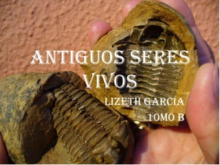 Antiguos seres
     vivos
      Lizeth García
             10mo B
 
