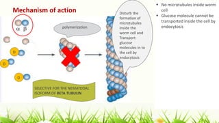 Mechanism of action Disturb the
formation of
microtubules
inside the
worm cell and
Transport
glucose
molecules in to
the cell by
endocytosis
polymerization
D
D
D
 No microtubules inside worm
cell
 Glucose molecule cannot be
transported inside the cell by
endocytosis
SELECTIVE FOR THE NEMATODAL
ISOFORM OF BETA TUBULIN
 