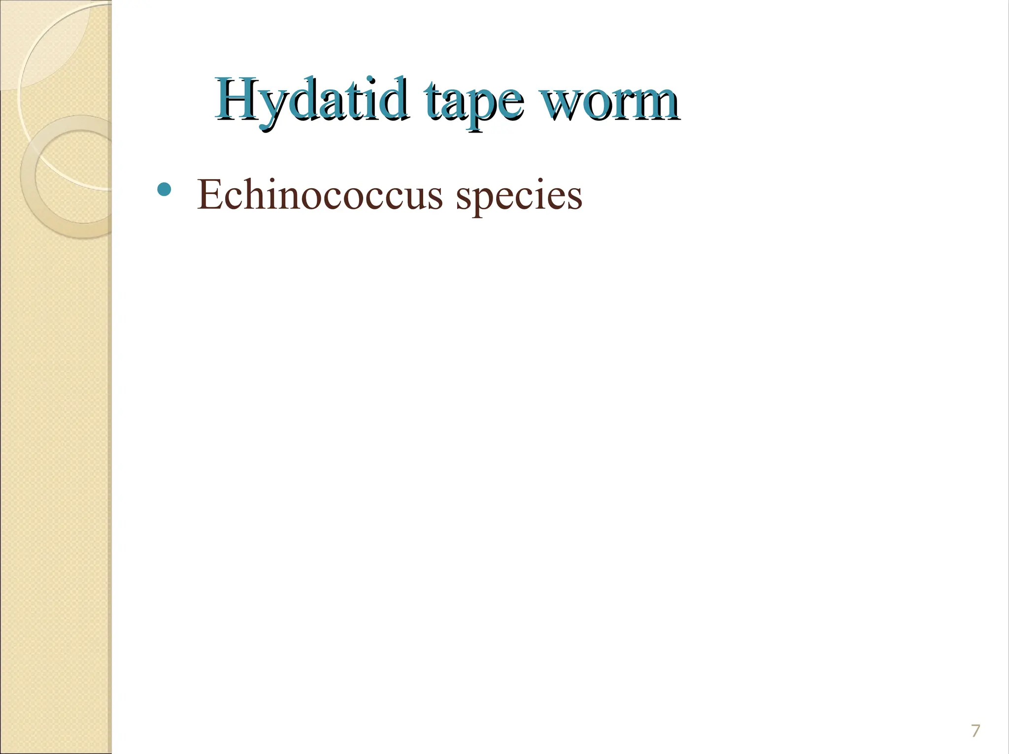 Hydatid tape worm
Hydatid tape worm
 Echinococcus species
7
 