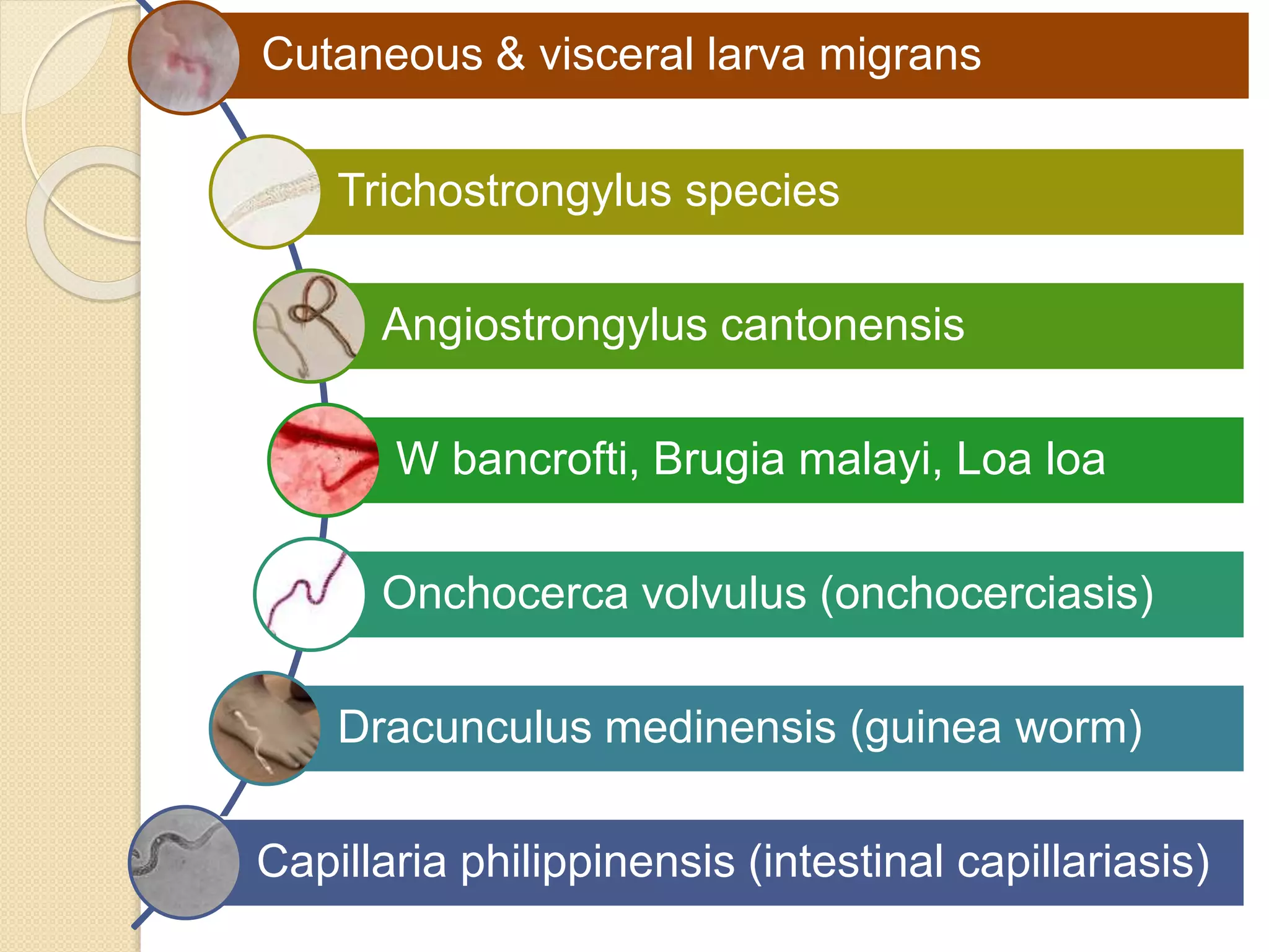 Antihelminthiasis.pptx