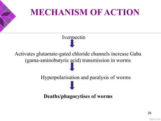 MECHANISM OF ACTION
Ivermectin
Activates glutamate-gated chloride channels increase Gaba
(gama-aminobutyric acid) transmission in worms
Hyperpolarisation and paralysis of worms
Deaths/phagocytises of worms
26
 