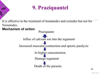 It is effective in the treatment of trematodes and cestodes but not for
Nematodes.
Mechanism of action
Praziquante
Influx of calcium ion into the tegument
Increased muscular contraction and spastic paralysis
At higher concentration
Damage tegument
Death of the parasite
9. Praziquantel
30
 
