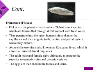 Cont.
Trematoda (Flukes)
• Flukes are the parasitic trematodes of Schistosoma species
which are transmitted through direct contact with fresh water.
• They penetrate into the intact human skin and enter the
capillaries and then migrate to the central and portal system
where they mature.
• Acute schistosomiasis also known as Katayama fever, which is
a form of visceral larval migraines.
• The adult male and female pairs ultimately migrate to the
superior mesenteric veins and ureteric vesicles.
• The eggs are then shed in the faeces and urine.
8
 