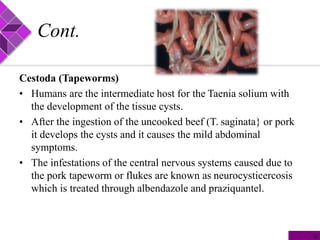 Cont.
Cestoda (Tapeworms)
• Humans are the intermediate host for the Taenia solium with
the development of the tissue cysts.
• After the ingestion of the uncooked beef (T. saginata} or pork
it develops the cysts and it causes the mild abdominal
symptoms.
• The infestations of the central nervous systems caused due to
the pork tapeworm or flukes are known as neurocysticercosis
which is treated through albendazole and praziquantel.
9
 