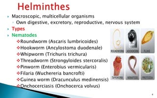 Pharmacotherapy of Antihelminthic agents | PPTX