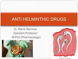 Dr. Maria Qammar
Assistant Professor
M-Phil (Pharmacology)
ANTI HELMINTHIC DRUGS
 