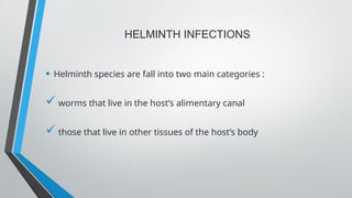 Comprehensive Overview of Antihelminthic Drugs and Helminth Infections ...