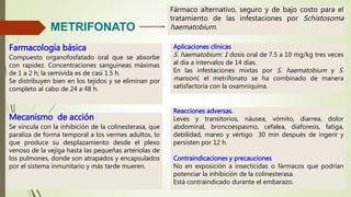 METRIFONATO
Fármaco alternativo, seguro y de bajo costo para el
tratamiento de las infestaciones por Schistosoma
haematobium.
Farmacología básica
Compuesto organofosfatado oral que se absorbe
con rapidez. Concentraciones sanguíneas máximas
de 1 a 2 h; la semivida es de casi 1.5 h.
Se distribuyen bien en los tejidos y se eliminan por
completo al cabo de 24 a 48 h.
Mecanismo de acción
Se vincula con la inhibición de la colinesterasa, que
paraliza de forma temporal a los vermes adultos, lo
que produce su desplazamiento desde el plexo
venoso de la vejiga hasta las pequeñas arteriolas de
los pulmones, donde son atrapados y encapsulados
por el sistema inmunitario y más tarde mueren.
Aplicaciones clínicas
S. haematobium: 1 dosis oral de 7.5 a 10 mg/kg tres veces
al día a intervalos de 14 días.
En las infestaciones mixtas por S. haematobium y S.
mansoni, el metrifonato se ha combinado de manera
satisfactoria con la oxamniquina.
Reacciones adversas.
Leves y transitorios, náusea, vómito, diarrea, dolor
abdominal, broncoespasmo, cefalea, diaforesis, fatiga,
debilidad, mareo y vértigo 30 min después de ingerir y
persisten por 12 h.
Contraindicaciones y precauciones
No en exposición a insecticidas o fármacos que podrían
potenciar la inhibición de la colinesterasa.
Está contraindicado durante el embarazo.
 