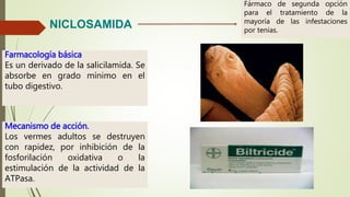 NICLOSAMIDA
Fármaco de segunda opción
para el tratamiento de la
mayoría de las infestaciones
por tenias.
Farmacología básica
Es un derivado de la salicilamida. Se
absorbe en grado mínimo en el
tubo digestivo.
Mecanismo de acción.
Los vermes adultos se destruyen
con rapidez, por inhibición de la
fosforilación oxidativa o la
estimulación de la actividad de la
ATPasa.
 