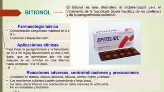 El bitionol es una alternativa al triclabendazol para el
tratamiento de la fasciolosis (duela hepática de los corderos)
y de la paragonimiosis pulmonar.BITIONOL
Aplicaciones clínicas
Para tratar la paragonimiosis y la fasciolosis,
de 30 a 50 mg/kg fraccionados en dos o tres
dosis, que se administran por vía oral
después de las comidas en días alternos
hasta completar 10 a 15 dosis.
Farmacología básica
• Concentración sanguíneas máximas en 4 a
8 h.
• Excreción a través del riñón.
Reacciones adversas, contraindicaciones y precauciones
• Consisten en diarrea, cólicos, anorexia, náusea, vómito, mareo y cefalea.
• Los exantemas cutáneos pueden presentarse a largo plazo.
• Se debe utilizar bitionol con precaución en niños menores de ocho años.
• No en embarazo y lactantes.
 