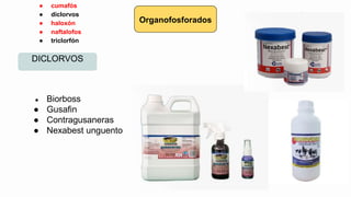 Haloxon Antihelminticos | PPTX