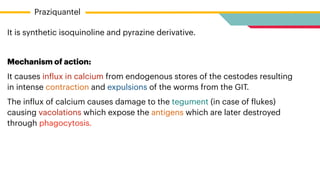 It is synthetic isoquinoline and pyrazine derivative.


Mechanism of action:


It causes in
f
lux in calcium from endogenous stores of the cestodes resulting
in intense contraction and expulsions of the worms from the GIT.


The in
f
lux of calcium causes damage to the tegument (in case of
f
lukes)
causing vacolations which expose the antigens which are later destroyed
through phagocytosis.


Praziquantel
 