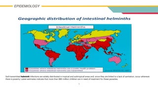 3
EPIDEMIOLOGY
Soil-transmitted helminth infections are widely distributed in tropical and subtropical areas and, since they are linked to a lack of sanitation, occur wherever
there is poverty. Latest estimates indicate that more than 880 million children are in need of treatment for these parasites.
 