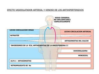 EFECTO VASODILATADOR ARTERIAL Y VENOSO DE LOS ANTIHIPERTENSIVOS
RIEGO CEREBRAL
NO INFLUENCIABLE
ESPECIFICAMENTE
LECHO CIRCULACION ARTERIAL
LECHO CIRCULACION VENAS
NITRATOS
ANTAGONISTAS DEL CALCIO
INHIBIDORES DE LA ECA, ANTAGONISTAS DE LA ANGIOTENSINA I I
DIHIDRALAZINA
MINOXIDIL
ALFA 1 - ANTAGONISTAS
NITROPRUSIATO DE Na
 