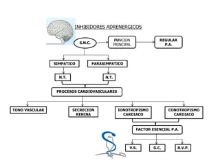 INHIBIDORES ADRENERGICOS
S.N.C.
FUNCION
PRINCIPAL
REGULAR
P.A.
SIMPATICO PARASIMPATICO
N.T. N.T.
PROCESOS CARDIOVASCULARES
TONO VASCULAR SECRECION
RENINA
IONOTROPISMO
CARDIACO
CONOTROPISMO
CARDIACO
FACTOR ESENCIAL P.A.
V.S. G.C. R.V.P.
 