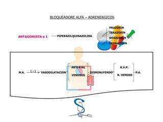 BLOQUEADORE ALFA – ADRENERGICOS
ANTAGONISTA α 1 PIPERAZILQUINAZOLINA
PRAZOSIN
TERAZOSIN
DOXAZOSIN
TRIMAZOSIN
M.A. VASODILATACION( - )
ARTERIAL
VENOSOS
DISMINUYENDO
R.V.P.
R. VENOSO
P.A.
 