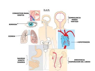 R.A.M.
BORROSA
DISNEA
IMPOTENCIA
DISMINUCION DEL LIBIDO
NAUSEAS
VOMITO
DIARREA
HIPOTENSION
SOMNOLENCIA
MAREO
VERTIGO
CONGESTION NASAL
RINITIS
 