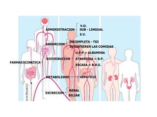 FARMACOCINETICA
E.V.
SUB - LINGUAL
V.O.
ADMINISTRACION
INCOMPLETA - TGI
ABSORCION
INTERFIEREN LAS COMIDAS
ESCASA = B.H.E.
ATRAVIESA = B.P.
U.P.P = ALBUMINA
DISTRIBUCION
HEPATICOMETABOLISMO
BILIAR
RENAL
EXCRECION
 
