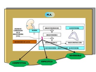 M.A.
COMPETITIVA
ESPECIFICA
REVERSIBLE
 