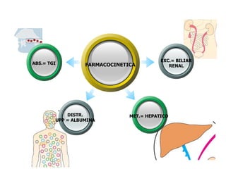 FARMACOCINETICAABS.= TGI
DISTR.
UPP = ALBUMINA
EXC.= BILIAR
RENAL
MET.= HEPATICO
 