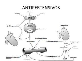 ANTIPERTENSIVOS
 