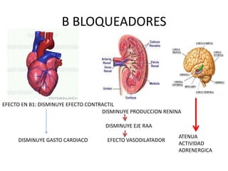 B BLOQUEADORES




EFECTO EN B1: DISMINUYE EFECTO CONTRACTIL
                                    DISMINUYE PRODUCCION RENINA

                                    DISMINUYE EJE RAA
                                                              ATENUA
     DISMINUYE GASTO CARDIACO        EFECTO VASODILATADOR
                                                              ACTIVIDAD
                                                              ADRENERGICA
 